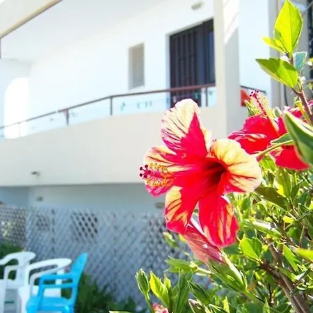 Apartahotel Evi And Theológos